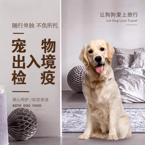 齐齐哈尔市宠物托运到哥伦比亚猫狗宠物入境规定和