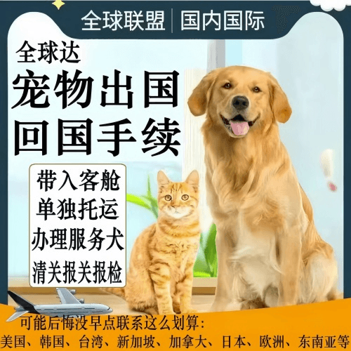 齐齐哈尔市宠物托运到柬埔寨宠物入境规定和要求
