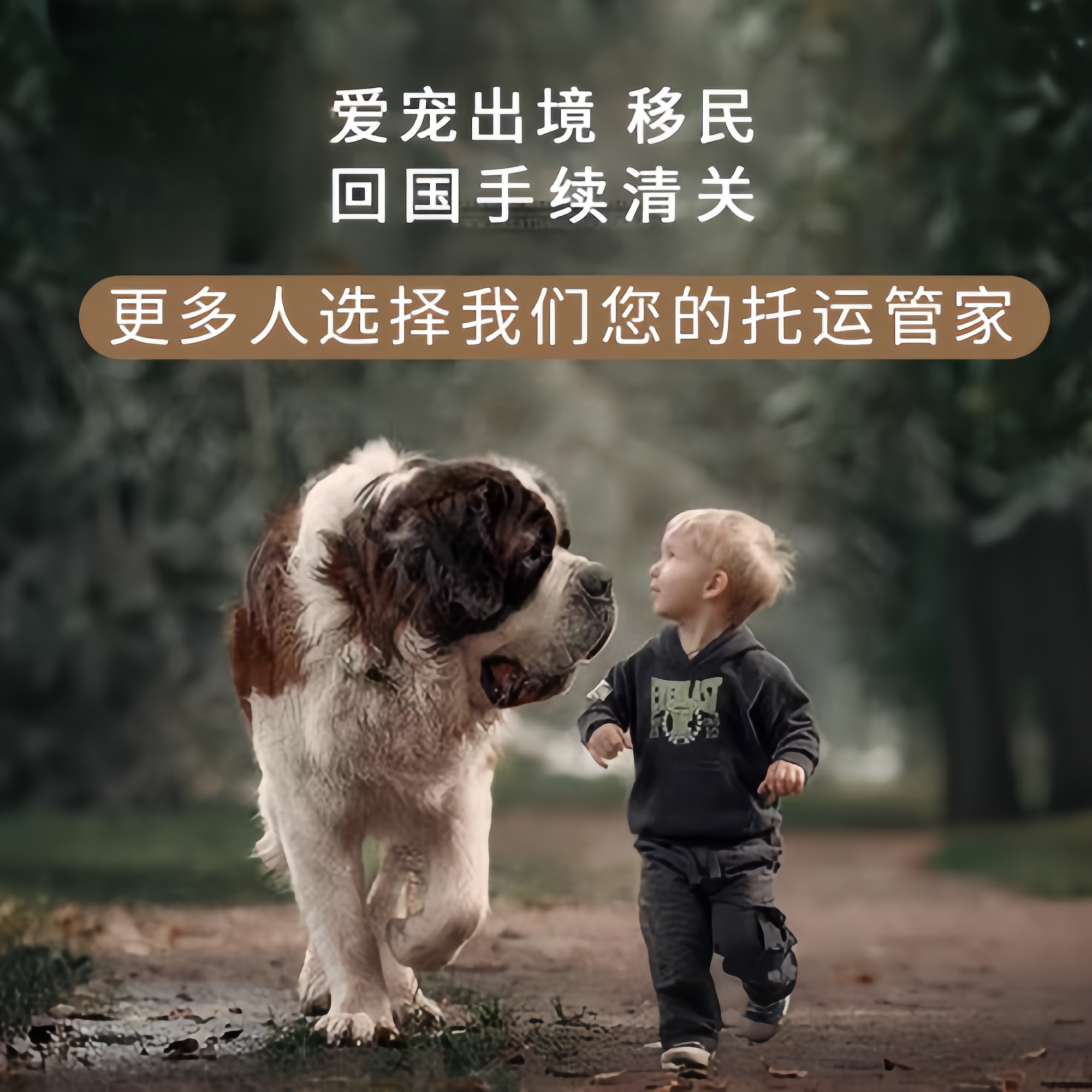 满财齐齐哈尔市宠物全球达宠物托运在遵守入境目的地政策的条件